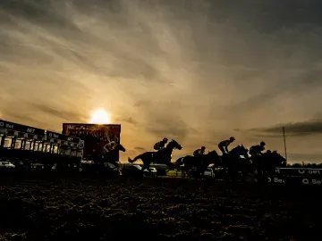lingfield park evening racing