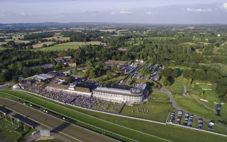 An aerial view of Lingfield Park and its facilities