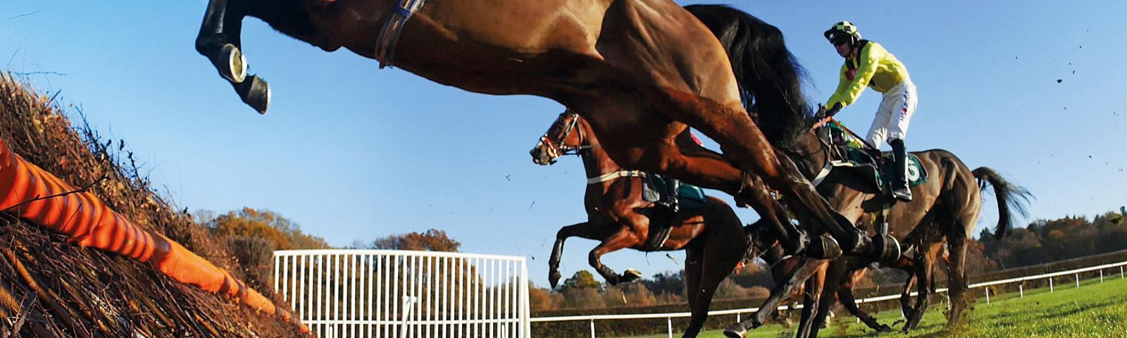 Lingfield Park Resort jumps racing in Surrey 