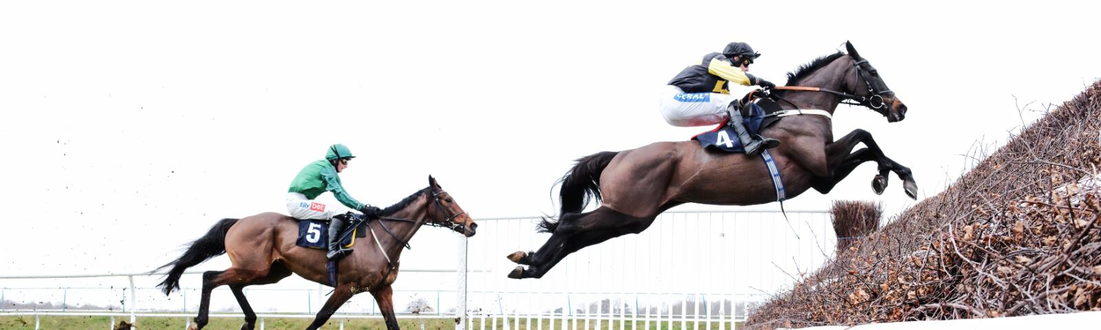 jump race image at lingfield park