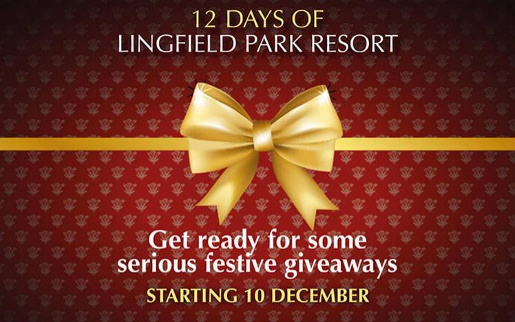 Promotional banner for a christmas offer.