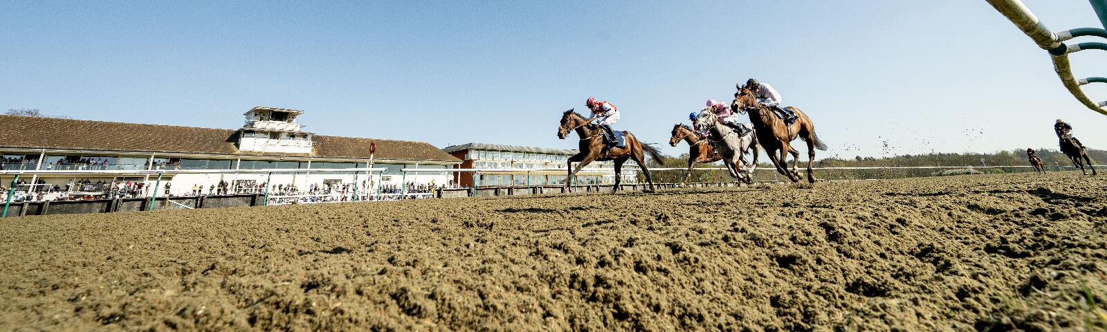 AWC Vase Day horse running towards the winning post.