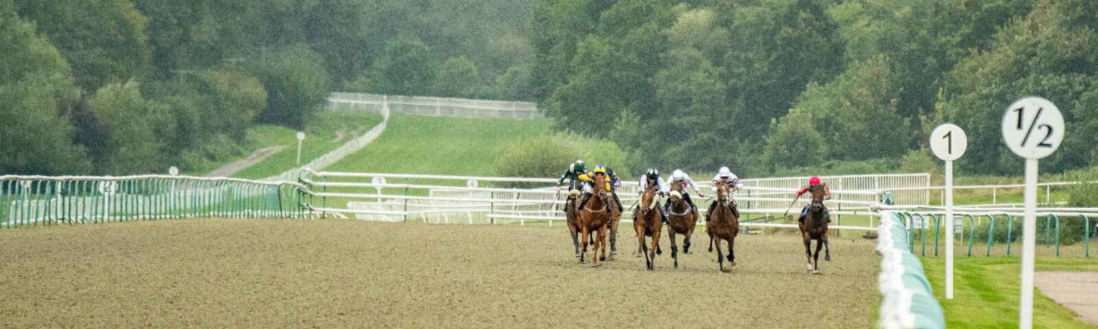 all weather race image lingfield park