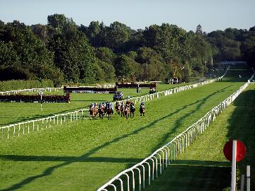 Lingfield Home Straight 
