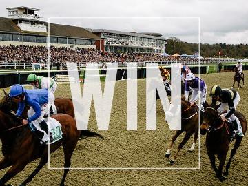 Horses galloping past a grandstand with the word 'WIN' watermarked across the whole image.