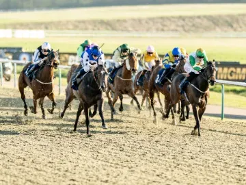 lingfield park all weather afternoon racing