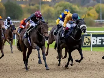 sky safari wolverhampton