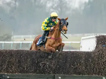 lingfield park afternoon jump racing