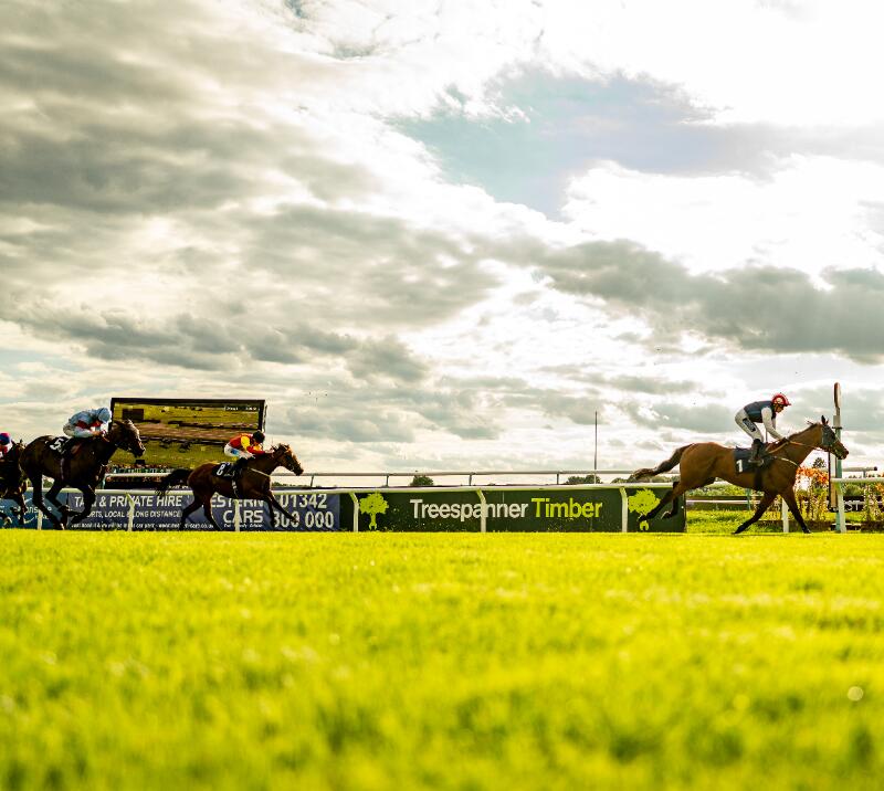 sponsor a race image