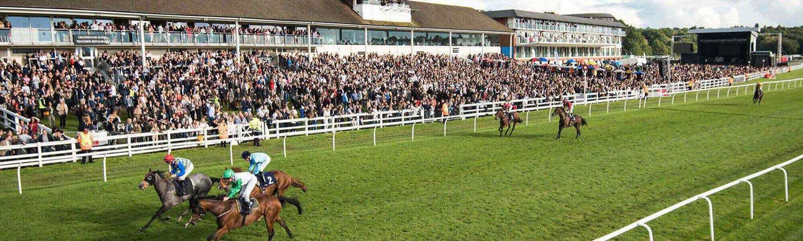 Jockeys racing past the crowds at Lingfield Park Resort.
