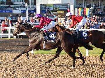 Top two teams aiming to land decisive blow on night four of Racing League
 
