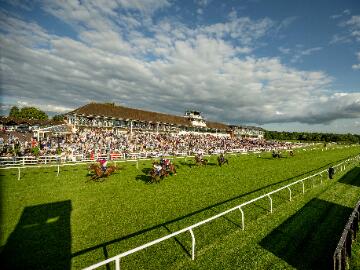 turf race lingfield park