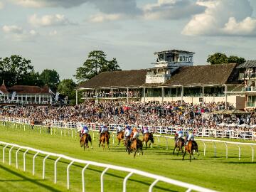 turf race lingfield park