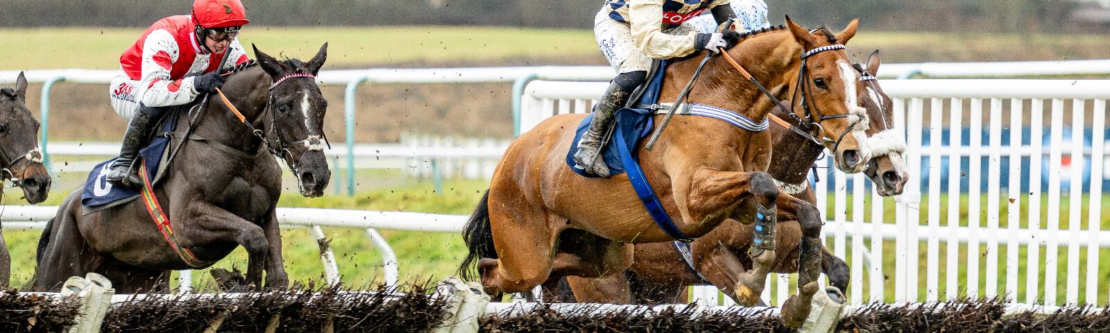 Horses and jockeys jump racing.
