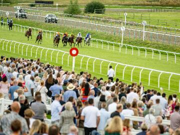 turf race lingfield park