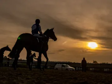 lingfield park evening racing