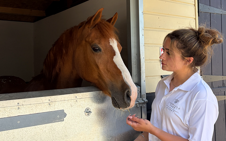 Lingfield Park Horse Racing Executive at RDA yard