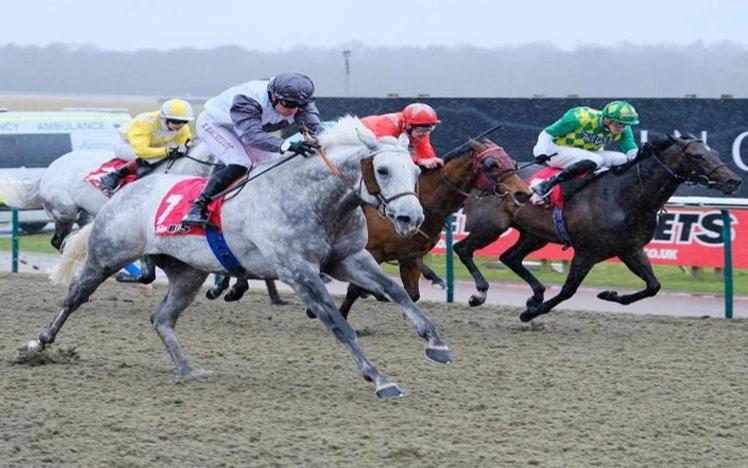 Group of jockeys racing.