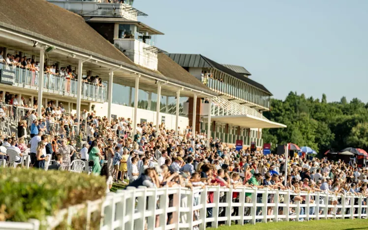 The crowds at Lingfield Park in the sunshine watching the races