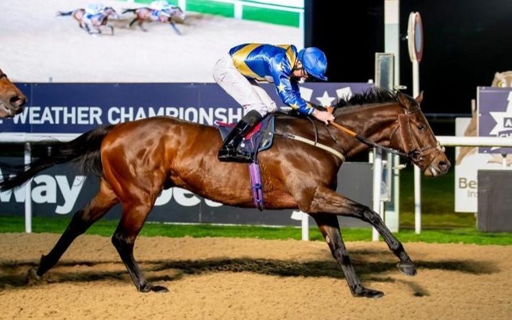 Jockey on a horse, racing at Lingfield Park.
