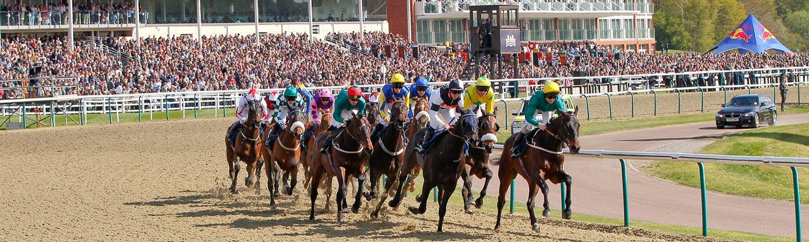 Jockeys racing at Lingfield Park with the crowds watching in the background.