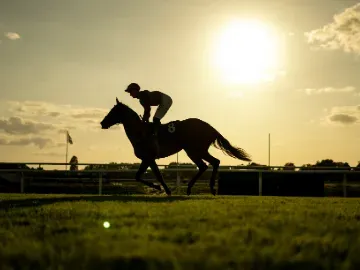 lingfield park evening racing sunset