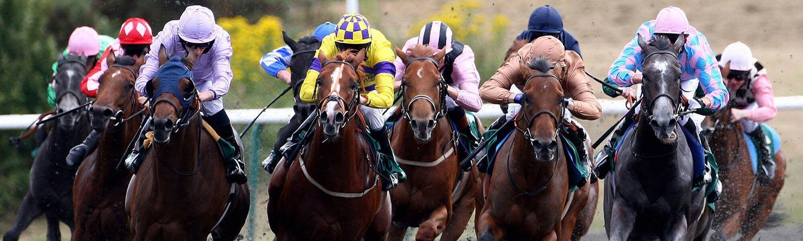 Group of jockeys racing at Lingfield Park Resort.
