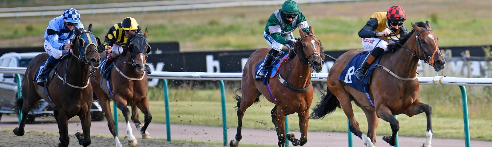Summer Afternoon Racing