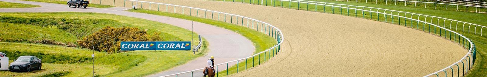 A view of one of the bends at Lingfield Raceocurse.