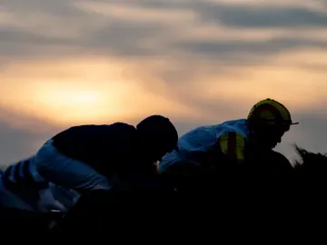 lingfield park evening racing